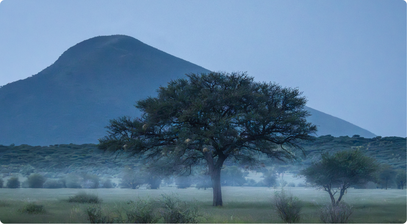 Namibia Safari Landscape