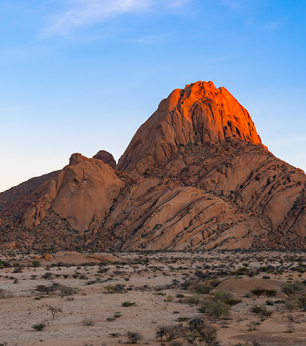 Wildlife safari in Namibia